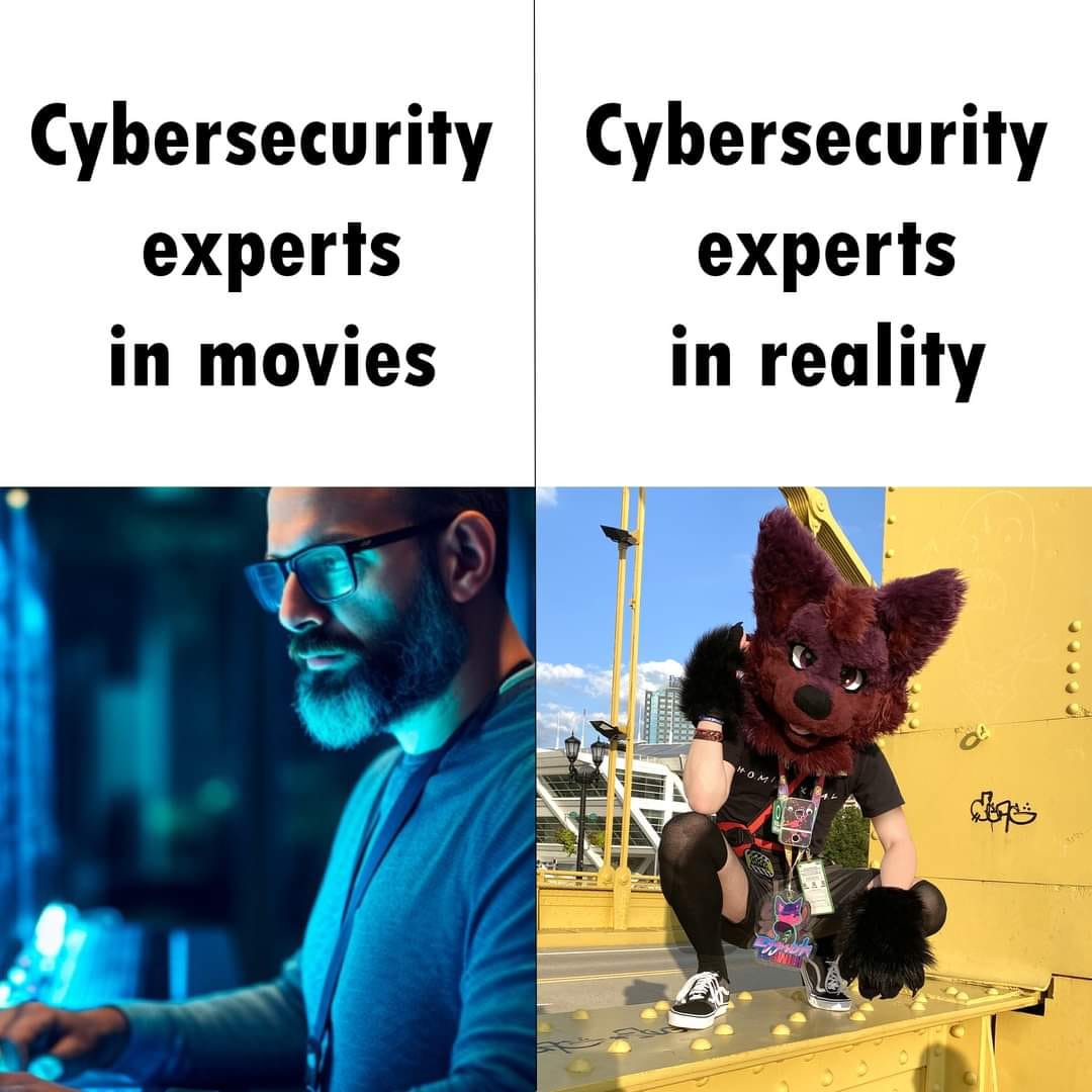 This meme is a humorous comparison between the way cybersecurity experts are often portrayed in movies and the reality of their work. The image shows a calm, focused man typing away on a computer on the left, with the caption "Cybersecurity experts in movies". On the right, it shows a person in a furry suit, complete with a giant cat head, with the caption "Cybersecurity experts in reality".